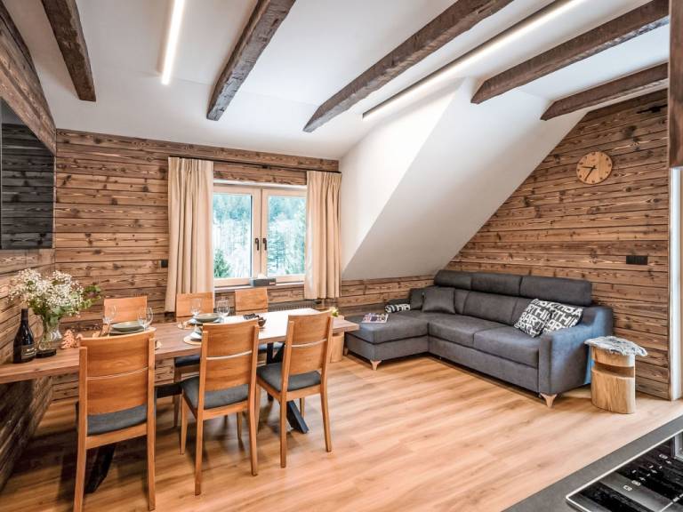 Apartament Dolní Morava
