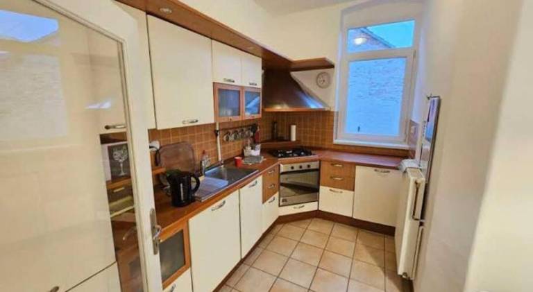 Apartment | Next to Ban Jelačić Square — photo 4
