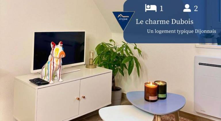 Apartment with 1 room for 2 persons in Dijon