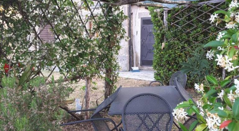 Farm with barbeque & garden — photo 4