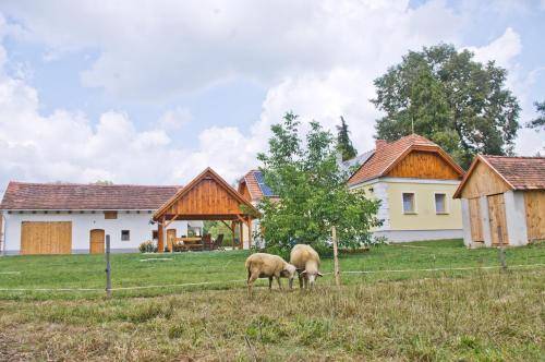 faház  Velemér