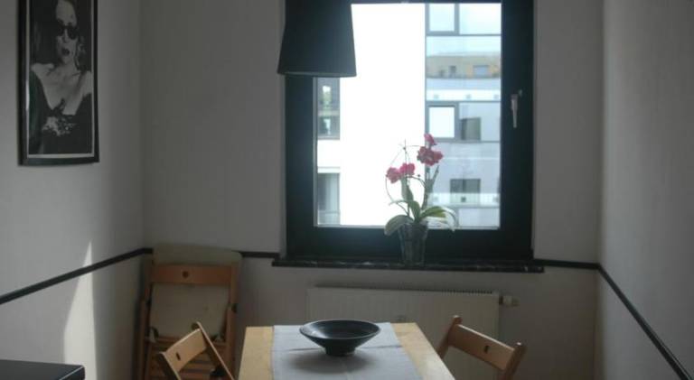 foto8