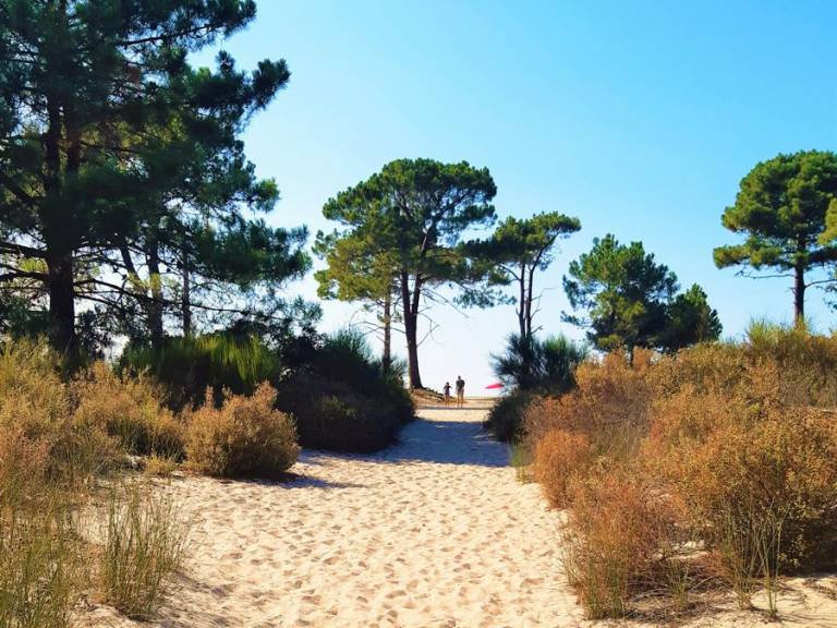 Mobil-home Calvi