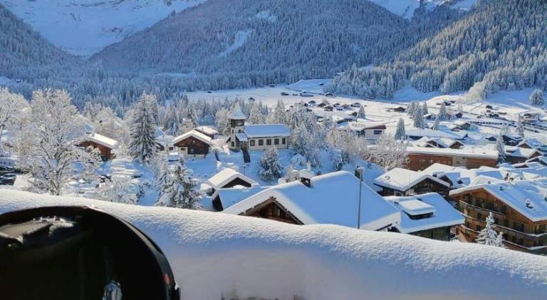 Holiday apartment | Pets are welcome in Ormont-Dessus