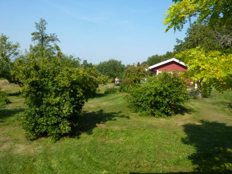 foto9
