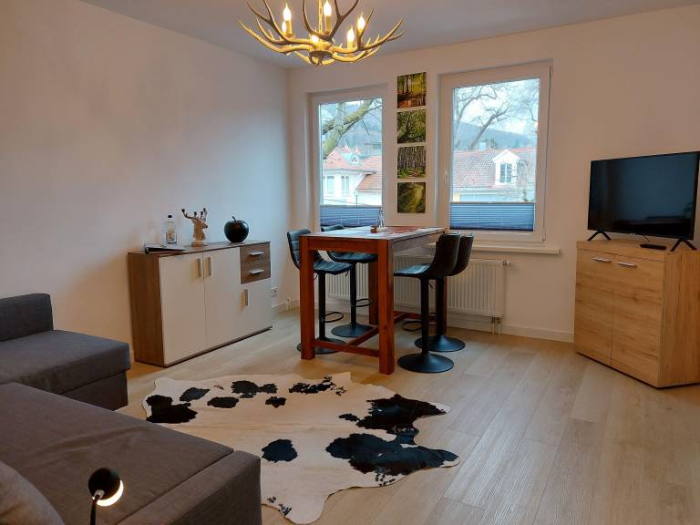 Rental apartment with 1 room for 4 persons — photo 3