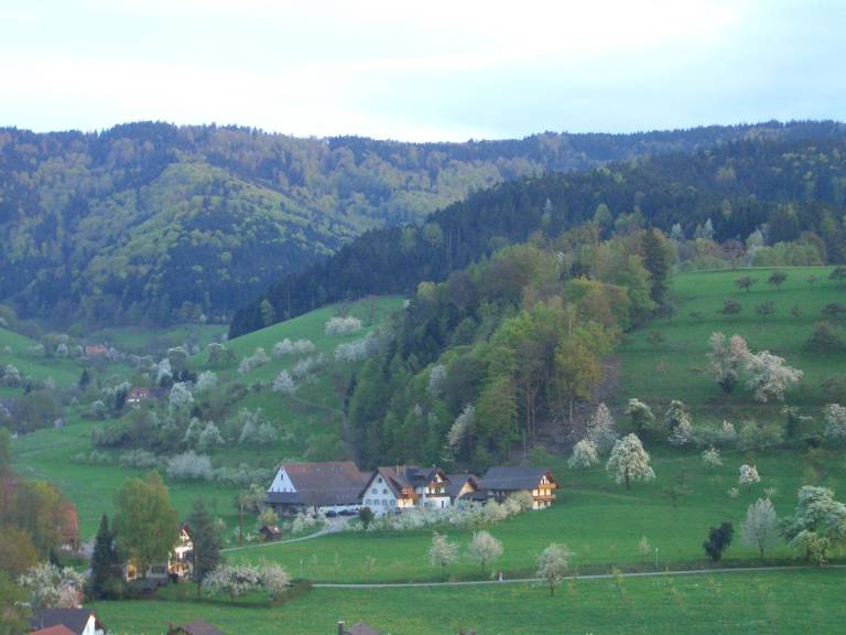 Ferienwohnung Glottertal