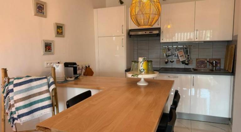 Large Luxury Apartment with garden view over the ocean — photo 5
