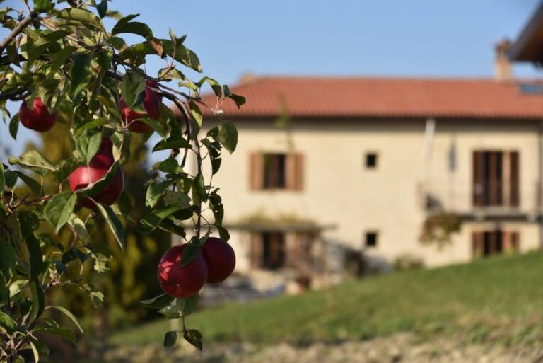 Private room  Monforte d'Alba