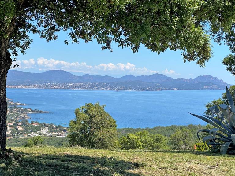 foto42