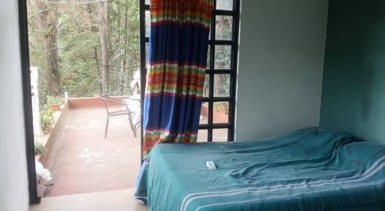 Hostel del bosque — photo 2