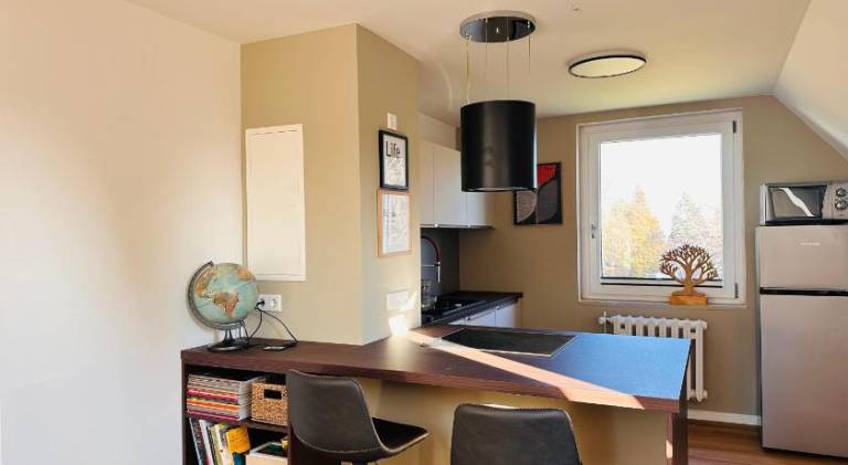 Apartment with 1 room for 4 persons — photo 3