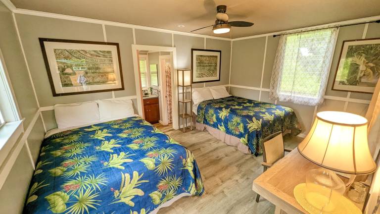 Cabin Pāhoa