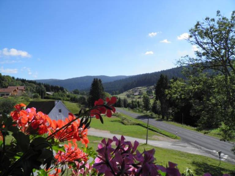 foto15