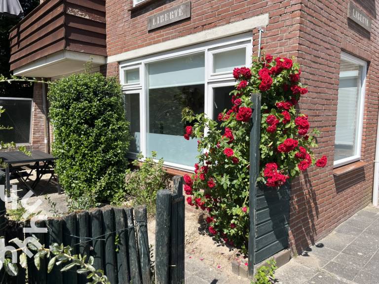 foto21