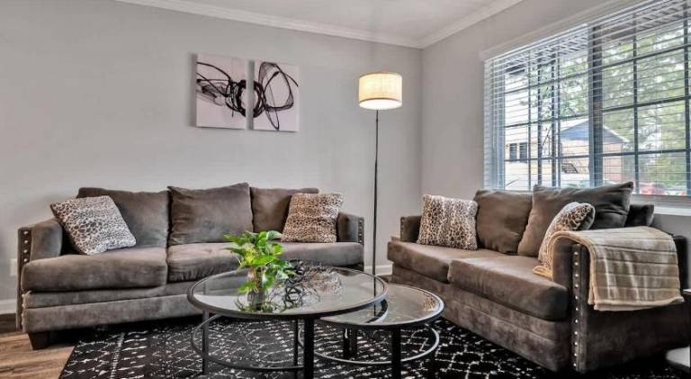 Holiday apartment | Pets are welcome in Durham, NC