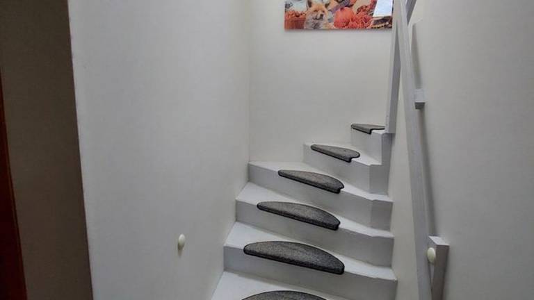 foto7