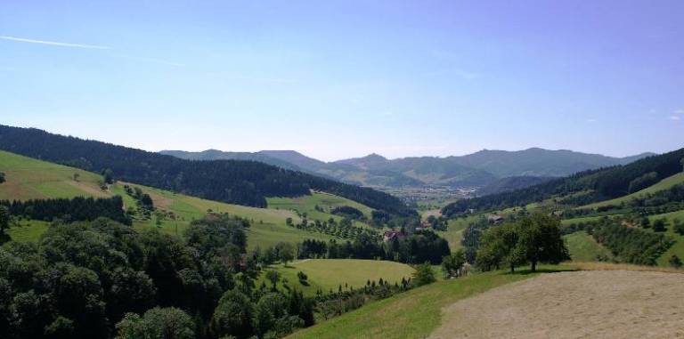 foto16