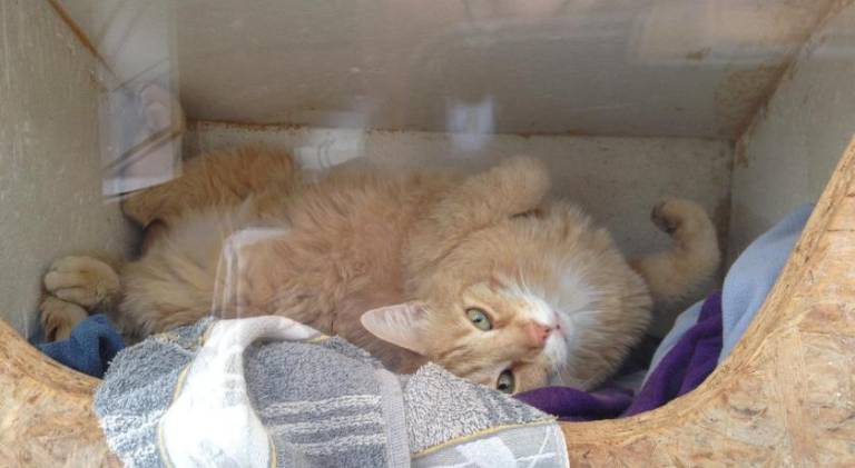 foto24