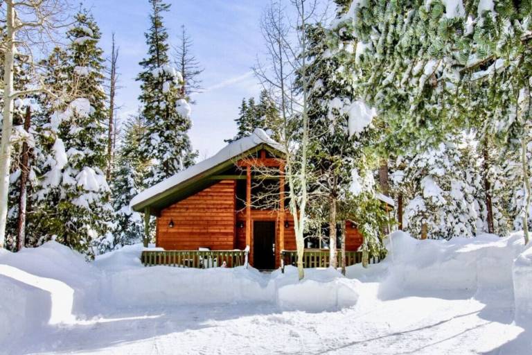 Cabin  Duck Creek Village