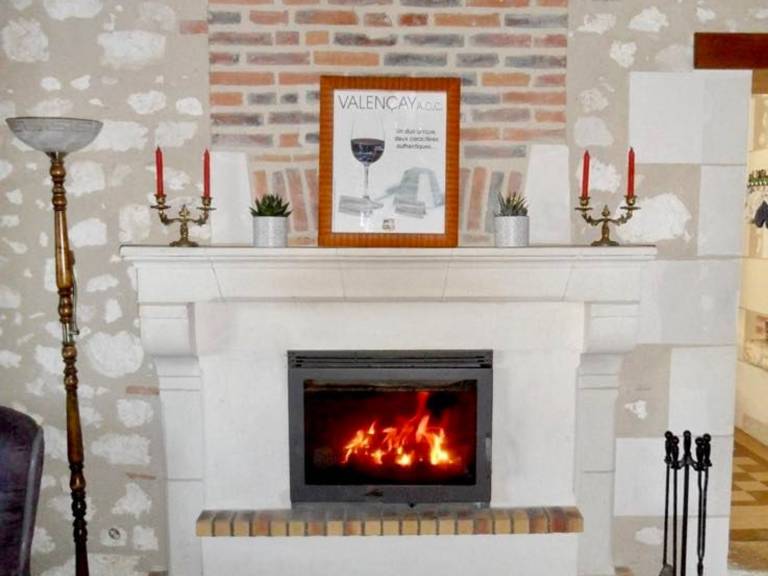 Family & Friends Retreat: Near Loire Castles, ZooParc de Beauval, Spacious Garden, Sleeps 12 — photo 5