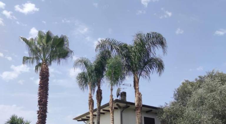 Casa Sabaudia