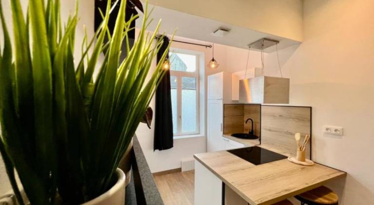 Apartment | Pets are welcome — photo 3