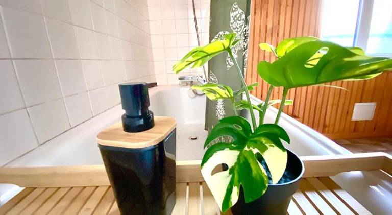 Holiday apartment with 2 rooms for 6 persons — photo 5