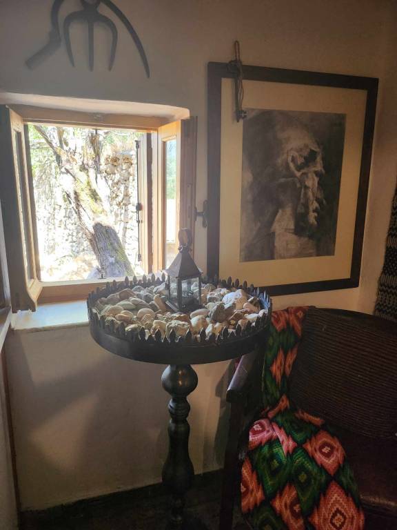 foto24