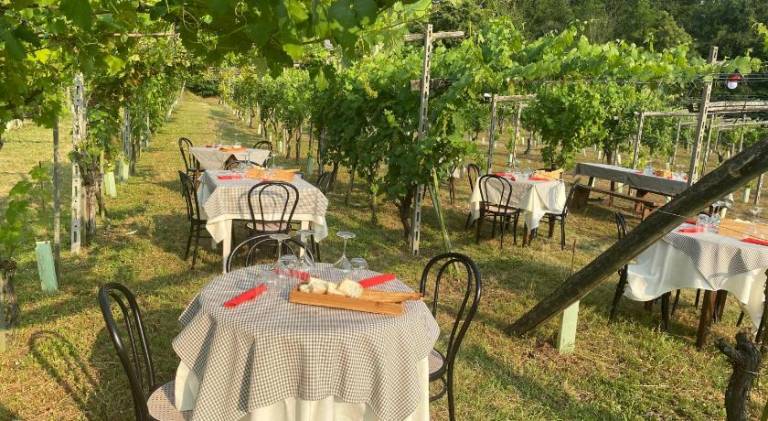 Locanda Tarello 1880 — photo 4