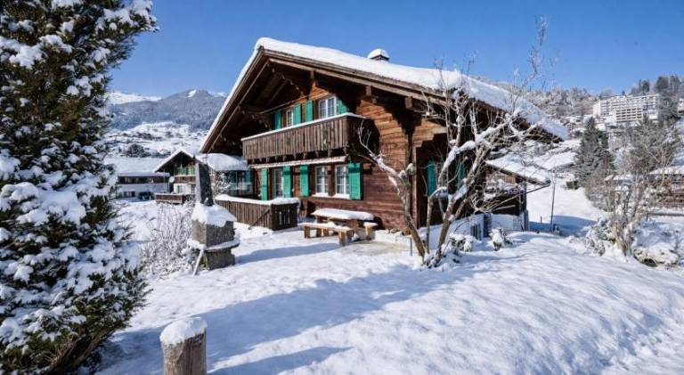 Cozy traditional Chalet, Stunning Mountain Views in Interlaken