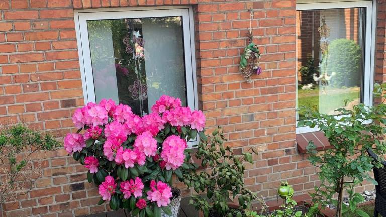 Ferienwohnung Teterow