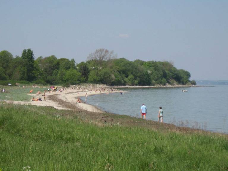 foto18