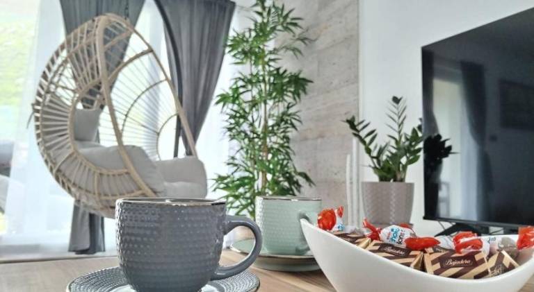 Apartman Perfect — photo 4