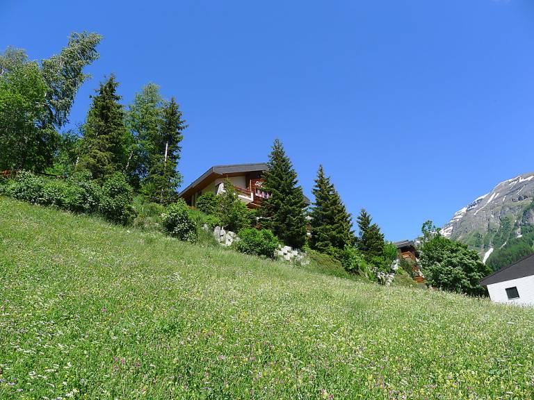 foto9