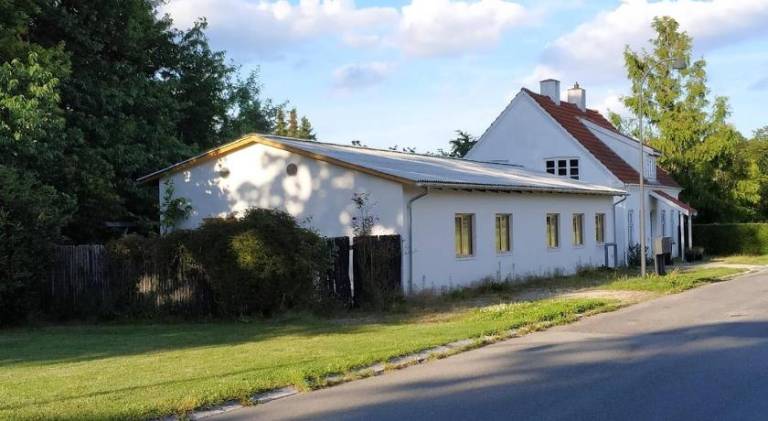 Healthy spot in nature near Copenhagen