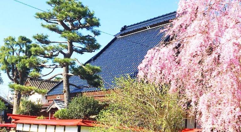 Vacation home with 3 rooms for 8 persons in Kyoto