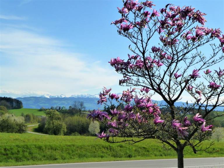 foto17