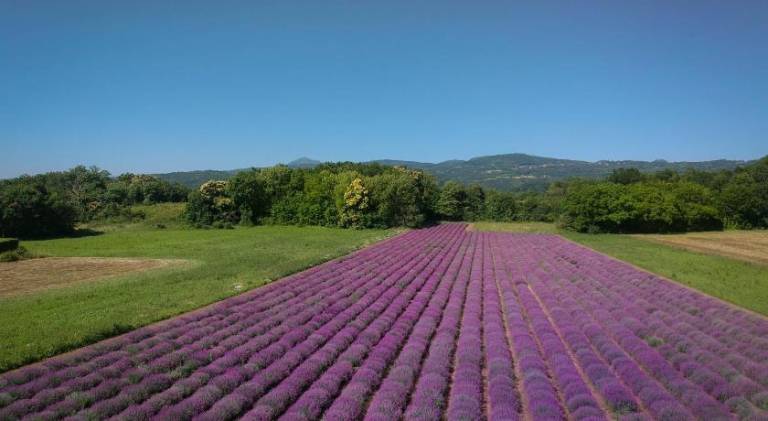 foto9