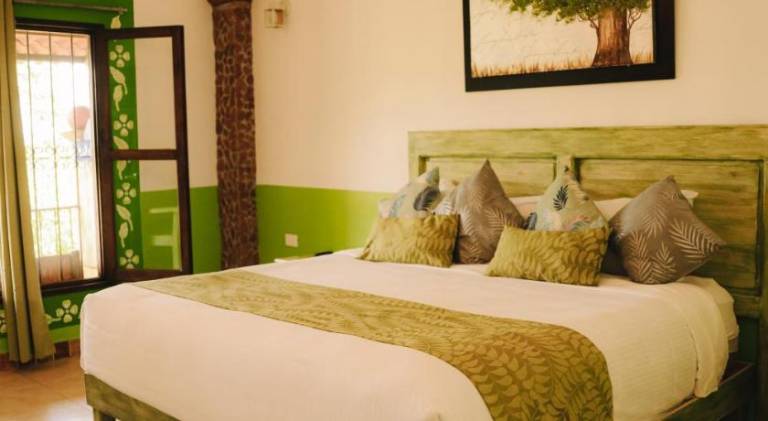 Hotel Pedregal — photo 2