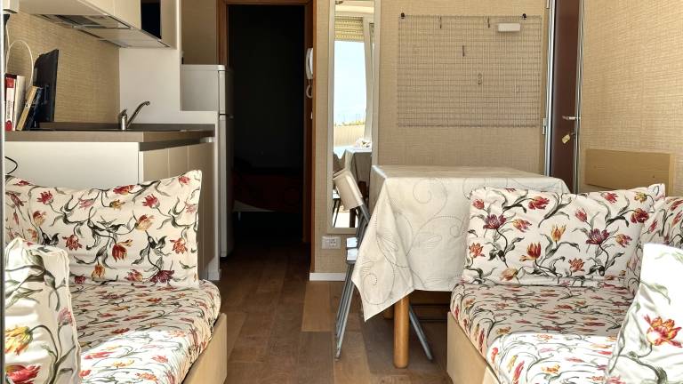 Children-friendly wonderful holiday apartment with terrace | Close to the beach | Dogs allowed — photo 2