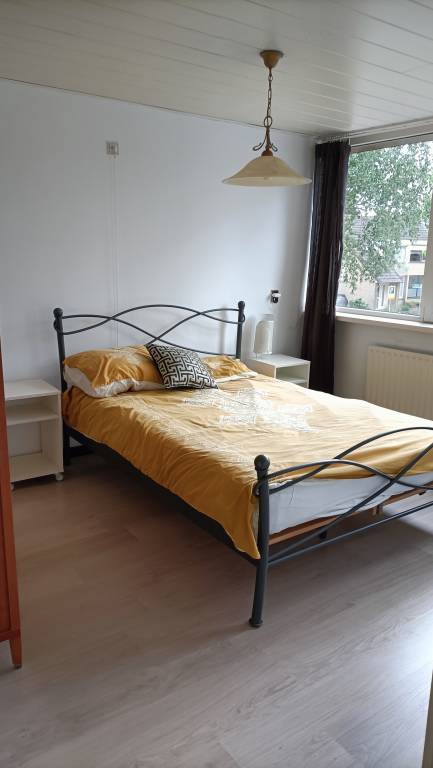 foto7
