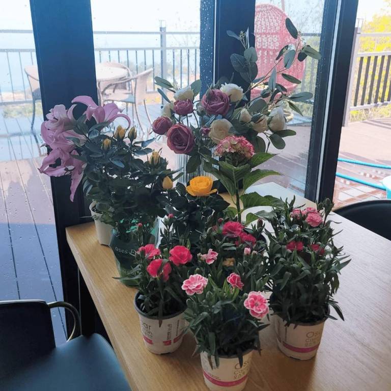 foto4