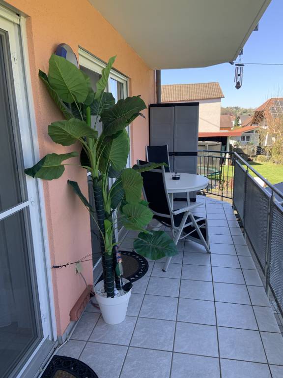 foto44