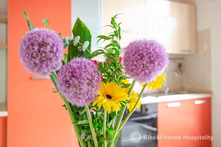 Apartment | Pet-friendly — photo 2