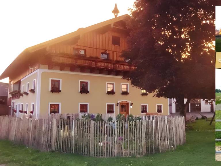 Bondegård  Fuschl