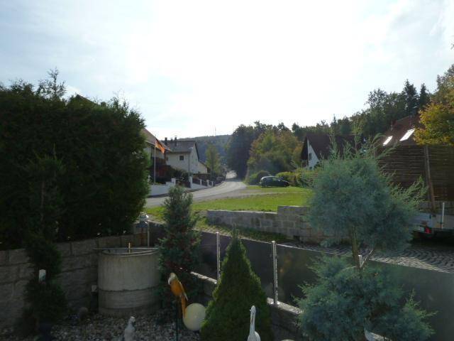 foto15