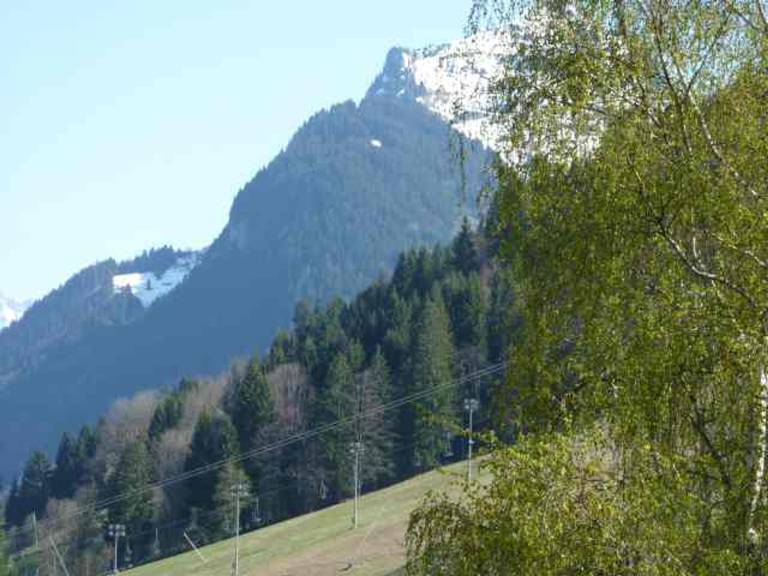 foto10