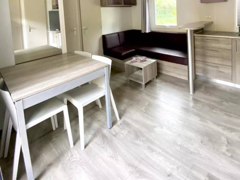 Mobile home with heated pool & terrace — photo 5