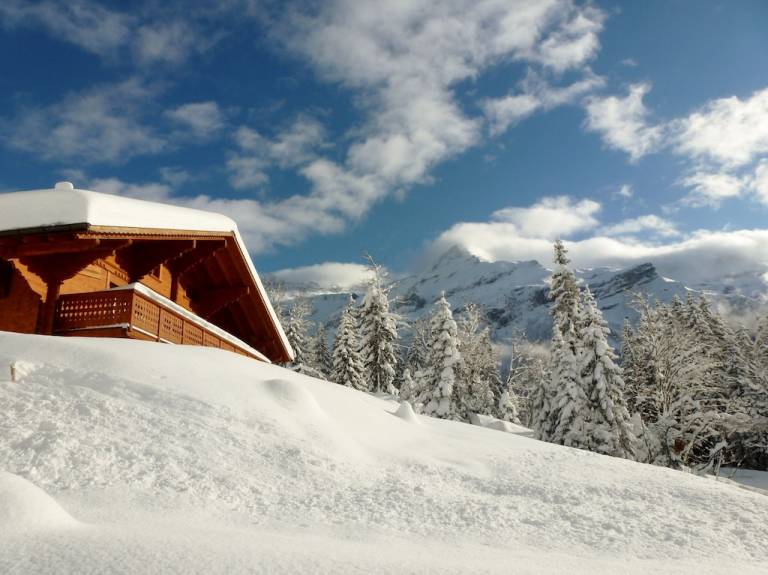 Chalet  Les Diablerets